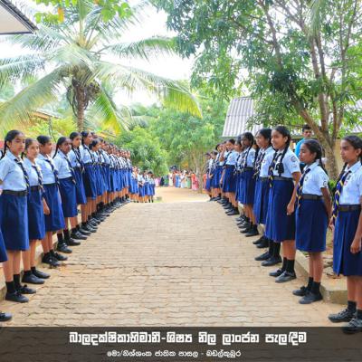 454370504 459647956889303 6742067288404727002 N