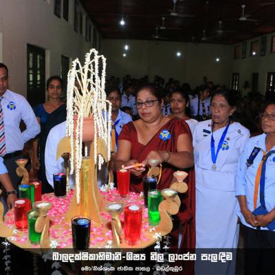 454636273 459649190222513 1528243591651880467 N