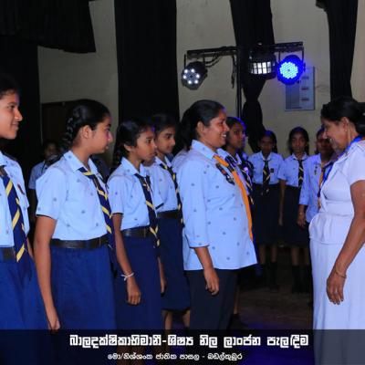 454636509 459650363555729 4013321186850382628 N