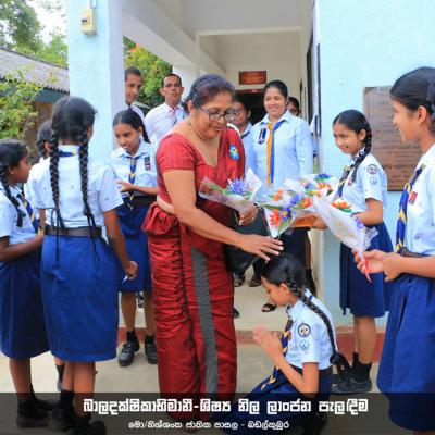 454892623 459647860222646 5719415952332544935 N