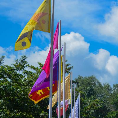 441522167 403551635832269 8313364190136327796 N